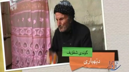 وێنەگەلێک له بینەرانی خۆشەویستی بەرنامەی شەوچرا