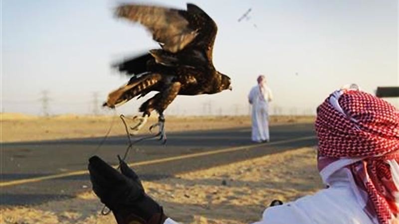 پاکستان: بلوچستان میں عرب شکاریوں کے قافلے پر حملہ