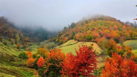 سرووشتی جوانی ئێران