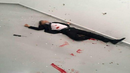 Türkiyənin təhlükəsizlik mənbələri: Karlovu xilas etmək üçün qatili öldürdürk
