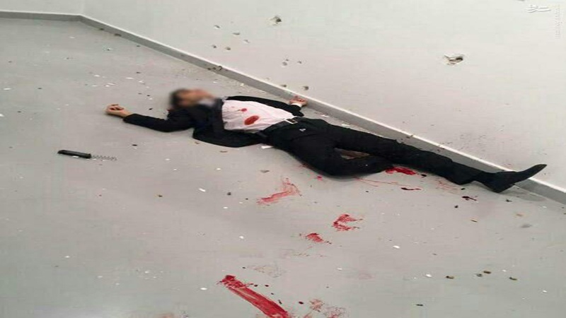 Türkiyənin təhlükəsizlik mənbələri: Karlovu xilas etmək üçün qatili öldürdürk


