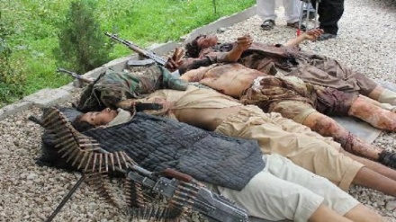 افغان فوج کی کارروائی، طالبان سرغنہ ساتھیوں سمیت ہلاک