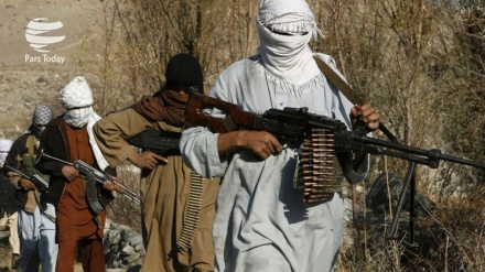 افغانستان میں فوجی ایئربیس پر حملے میں طالبان ملوث