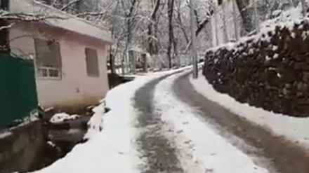 بارینی یەکەم بەفر لە تەوێڵە ناوچەی هەورامانی کوردستان عراق 