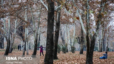 تہران کے ملت پارک میں موسم خزان کے دلکش مناظر