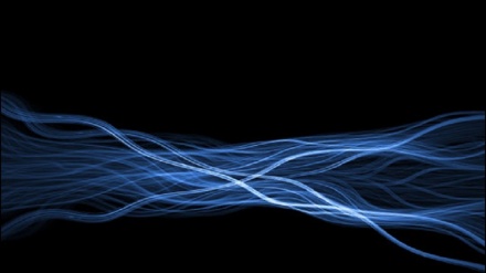 تۆمار کردنی جموجولی تیشک  بە خێراترین کامێرای دونیا