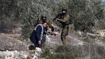 صیہونی فوجیوں کے حملے میں ایک فلسطینی شہید درجنوں زخمی 