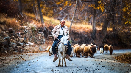 Oproštaj s kraljicom godišnjih doba