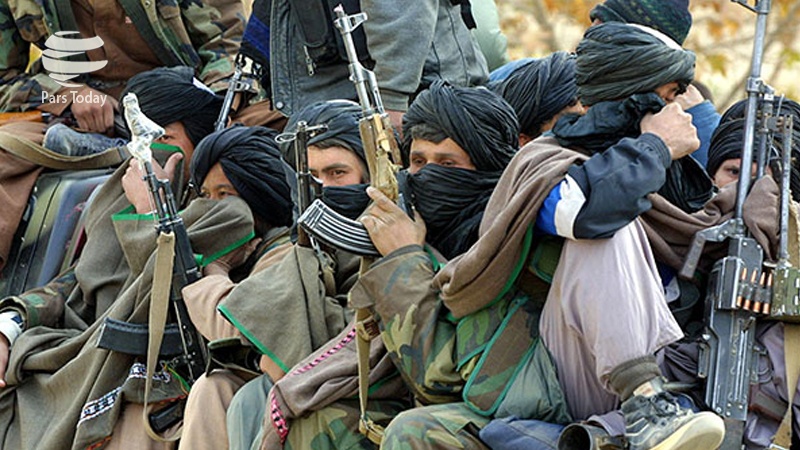 افغانستان میں آپریشن، 100 طالبان ہلاک و زخمی