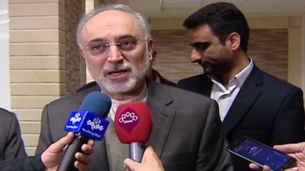 Salehi: Nüvə anlaşması sülhməramlı nüvə enerjisi sahəsində İrana önəmli nailiyyətlər gətirdi