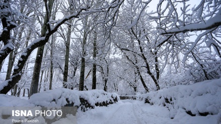 بارینی بەفری قورس لە ئێران