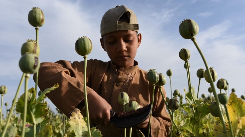 Indija zaplijenila tri tone heroina iz Afganistana, vrijednosti 2,7 milijardi dolara