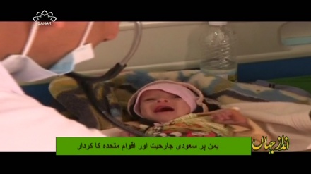 یمن پر سعودی جارحیت اور اقوام متحدہ کا کردار  