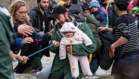 Izabrani prizori foto-agencije 