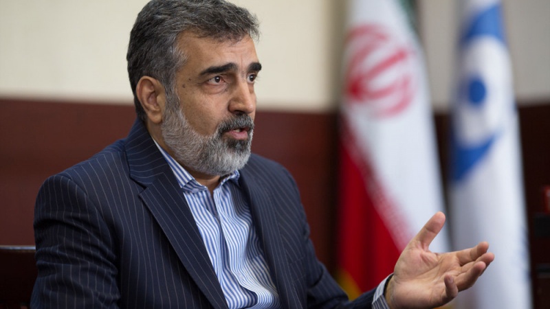 کەمالوەندی  : ئێران سەبارەت بە پرسی ناڤۆکی لەگەڵ ئەمریکا وتووێژ ناکات 