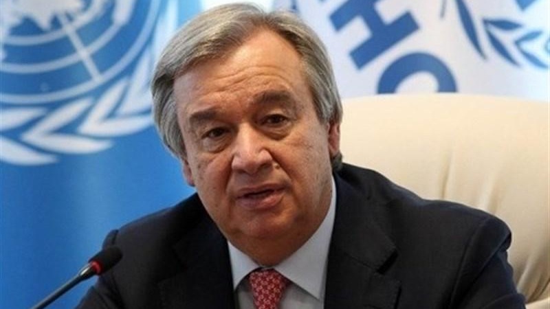 تارکین وطن اور اقلیتوں کے خلاف امتیازی سلوک پر اقوام متحدہ کی گہری تشویش 