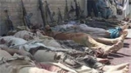 Əfqan hərbçilərlə döyüşdə onlarla talib öldürülüb