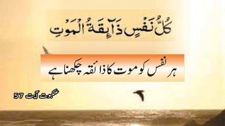 موت کی حقیقت 