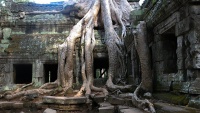 Tajanstveni hramovi u Kambodži
