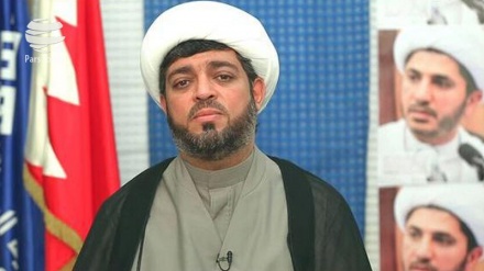 شیخ علی سلمان کے خلاف شاہی حکومت کے تازہ الزامات کذب محض