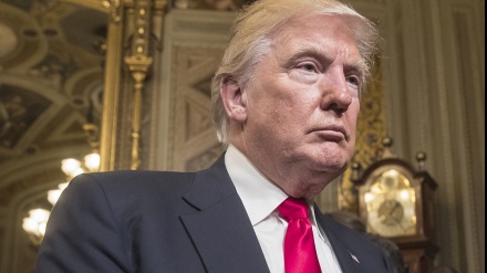 İri şirkətlər də Trampın qərarına qarşı çıxdılar