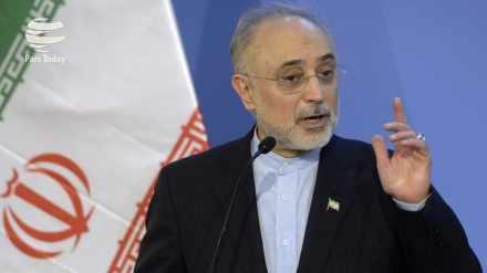 Salehi: Iranska nuklearna industrija je u napretku