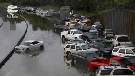 لافاو لە ئەمریکا - شاری کالیفۆرنیا