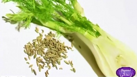 سونف کی خصوصیات اور فوائد