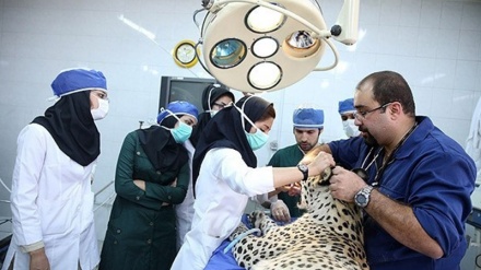 Yaxın Şərqin ən yaxşı avadanlıqlarla təchiz edilmiş baytarlıq klinikası Tehranda istifadəyə verildi