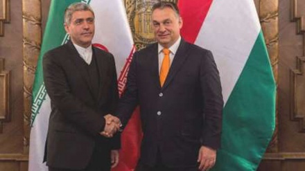 علاقے کی سیکورٹی اور استحکام کی برقراری میں ایران کا کردار اہم : ہنگری کے وزیراعظم 