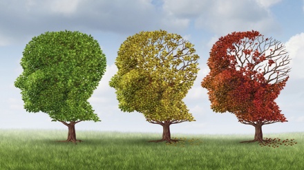 یادداشت کیسے تیز کی جائے؟ ۔ ویڈیو