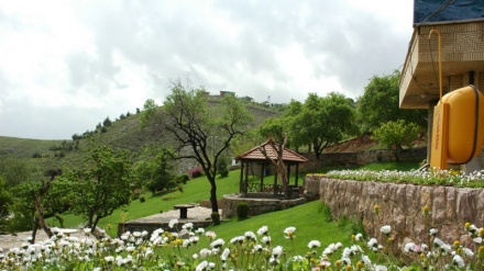  گۆرانی کوردی ئاویەر