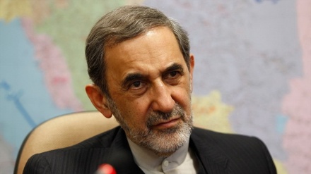 Vilayəti: Amerika senatının anti-İran hərəkəti nüvə anlaşmasına ziddir