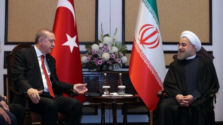 İran və Türkiyə prezidentləri ikitərəfli əlaqələrin inkişafına təkid ediblər