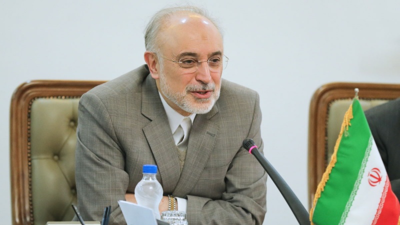 ایران فوری طو پر یورینیم کی بیس فیصد افزودگی شروع کر سکتا ہے: ڈاکٹر علی اکبر صالحی 
