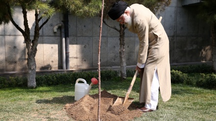 İnqilab Rəhbəri: Meşələr və təbii qaynaqlar tamahkarlardan qorunmalıdır