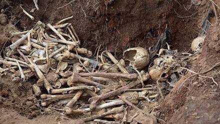 Spayker qırğını qurbanlarının ikinci kütləvi qəbiristanlığı aşkar edilib
