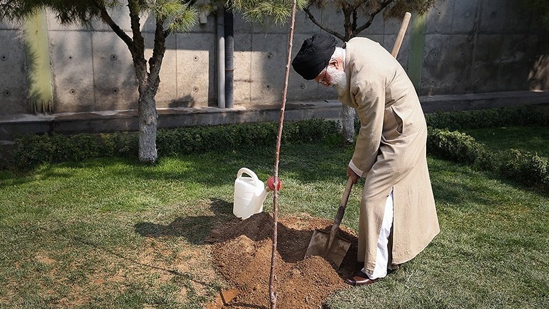 رہبرانقلاب اسلامی  نے دو پودے لگائے