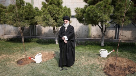 قدرتی ماحول اور جنگلات کا تحفظ یقینی بنایا جائے، رہبرانقلاب اسلامی کی تاکید