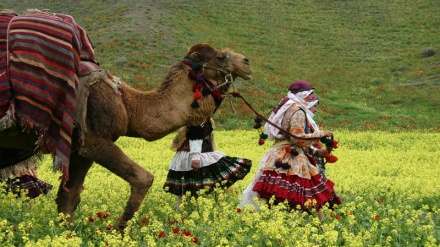 Straneke bicoş a kurmancî li bara Newrozê