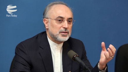 Salehi: Glavne smjernice Nacionalne organizacije za atomsku energiju je pretvaranje Irana u najvećeg proizvođača radio-lijekova u regionu