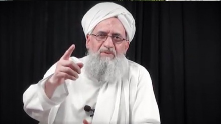 القاعدہ کی دھمکی پر ہندوستان کا رد عمل