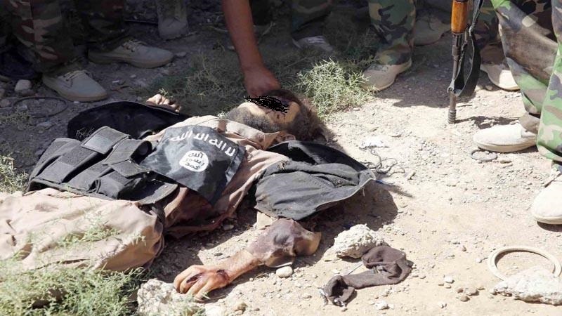 شام میں دہشت گرد گروہ داعش کا سرغنہ ہلاک