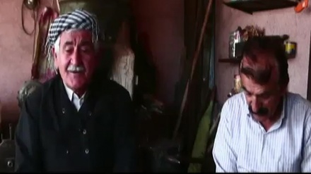 راپۆرتێک له کاوه ساڵحی و مێهرداد ئەحمەدزاده سەبارەت به سازکردنی گەزۆ