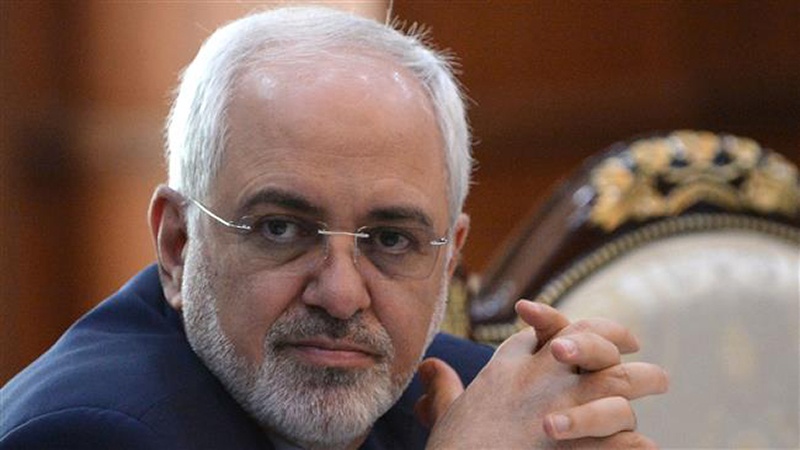 ایران کے وزیر خارجہ کی عالمی سیاست میں نئے ماڈل کی ایجاد پر تاکید 
