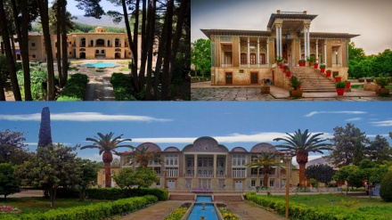 جوانترین باخەکانی ئێرانی