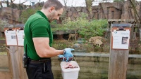 Briga o životinjama u Zoološkom vrtu u Londonu

