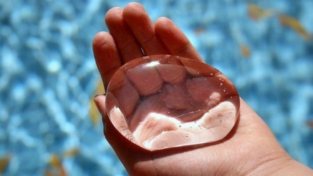 تۆپی پڕ له ئاو له جیاتی بەتڵی ئاو له لەندەن ساز کراوه.