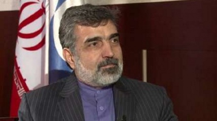 فوجی مراکزکے معاینے کی مخالفت