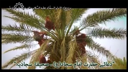 دعائے امام سجاد (ع) - صحیفہ سجادیہ 